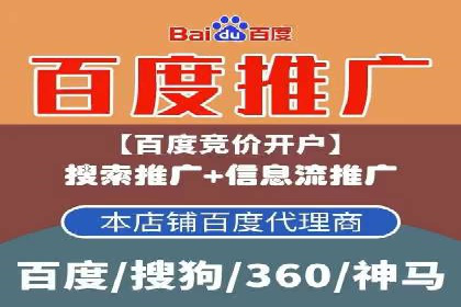 某企业通过百度广告实现品牌提升的历程